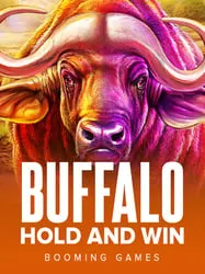 Buffalo Hold and Win