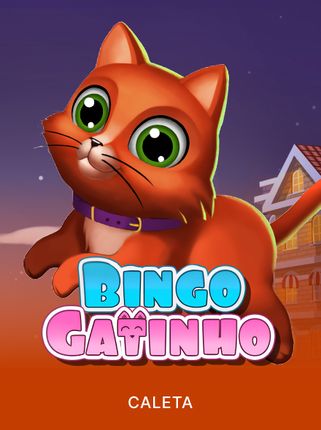 Bingo Gatinho