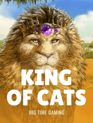 King of Cats