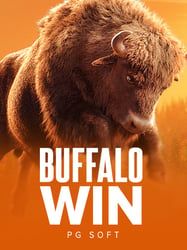 Buffalo Win
