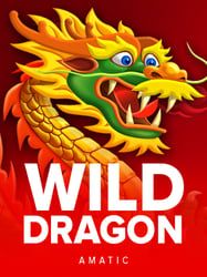 Wild Dragon