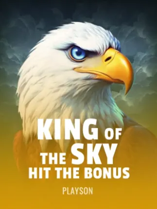 King of the Sky: Hit the Bonus