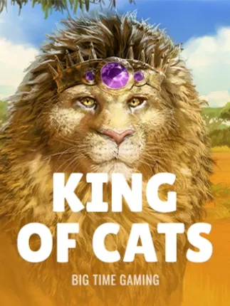 King of Cats