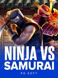 Ninja vs Samurai