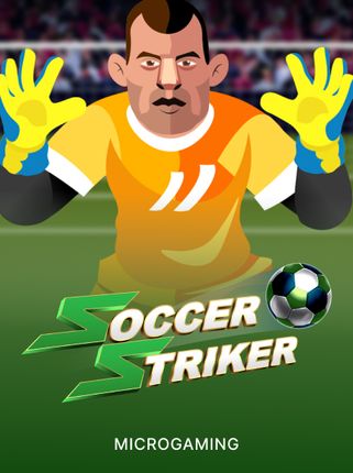 Soccer Striker