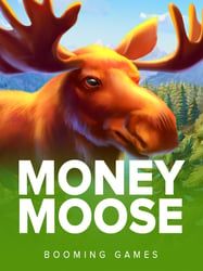 Money Moose