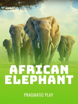 African Elephant