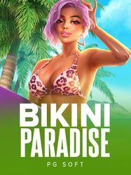 Bikini Paradise
