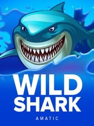 Wild Shark