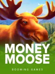 Money Moose