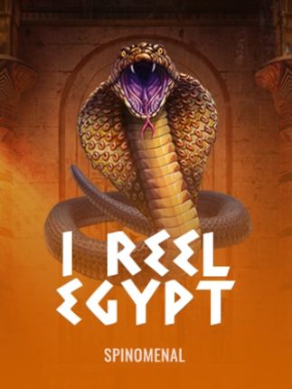 1 Reel Egypt