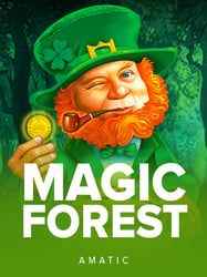Magic Forest