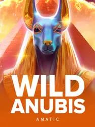 Wild Anubis