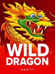 Wild Dragon