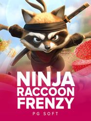 Ninja Raccoon Frenzy